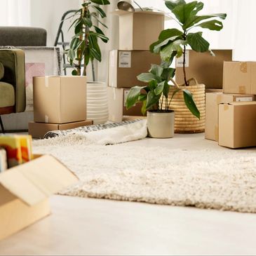 Living room filled with packed boxes and houseplants, ready for moving